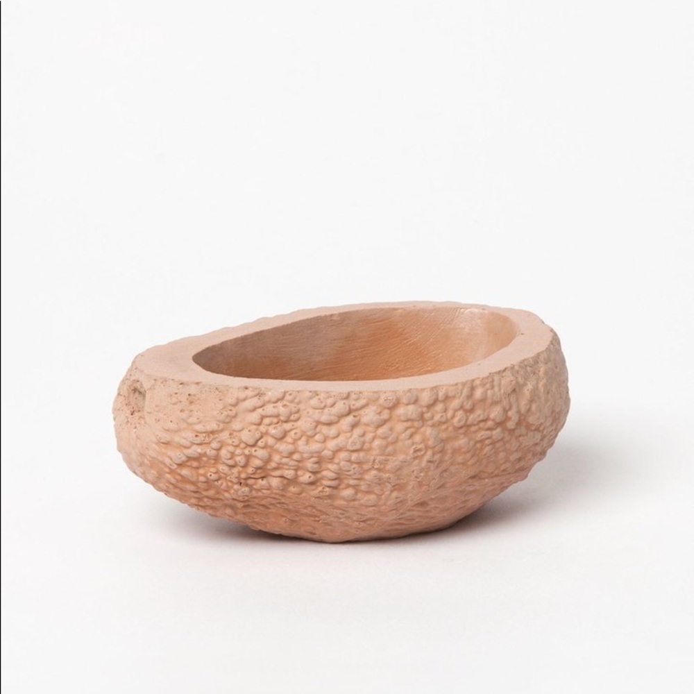 Chen Chen & Kai Williams Avocado Planter